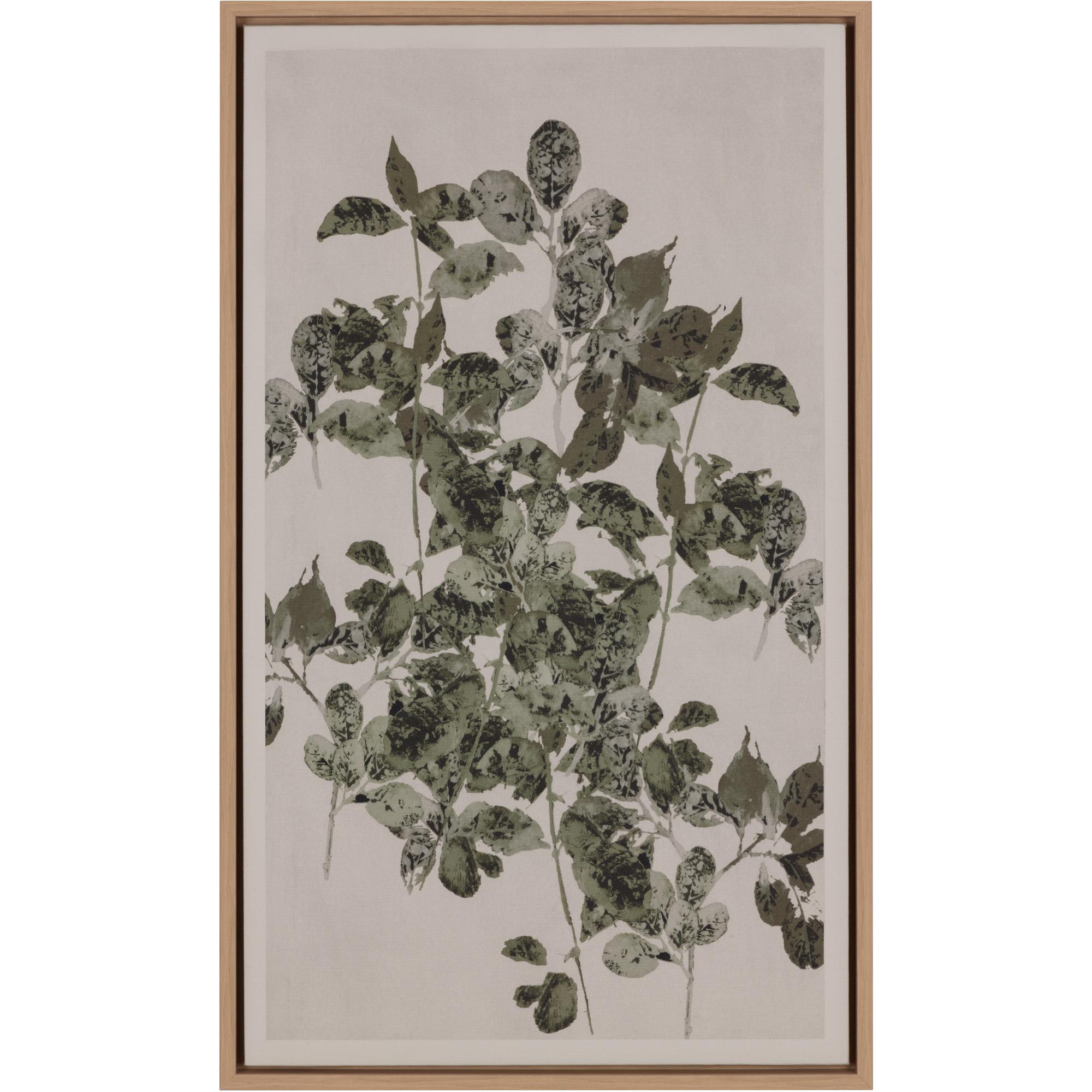Botanical Study I - 18.5" X 31" - Natural Floater Frame 1 Botanical Study I - 18.5" X 31" - Natural Floater Frame