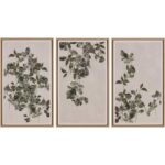 Botanical Study I - 18.5" X 31" - Natural Floater Frame 10 Botanical Study I - 18.5" X 31" - Natural Floater Frame - Image 4