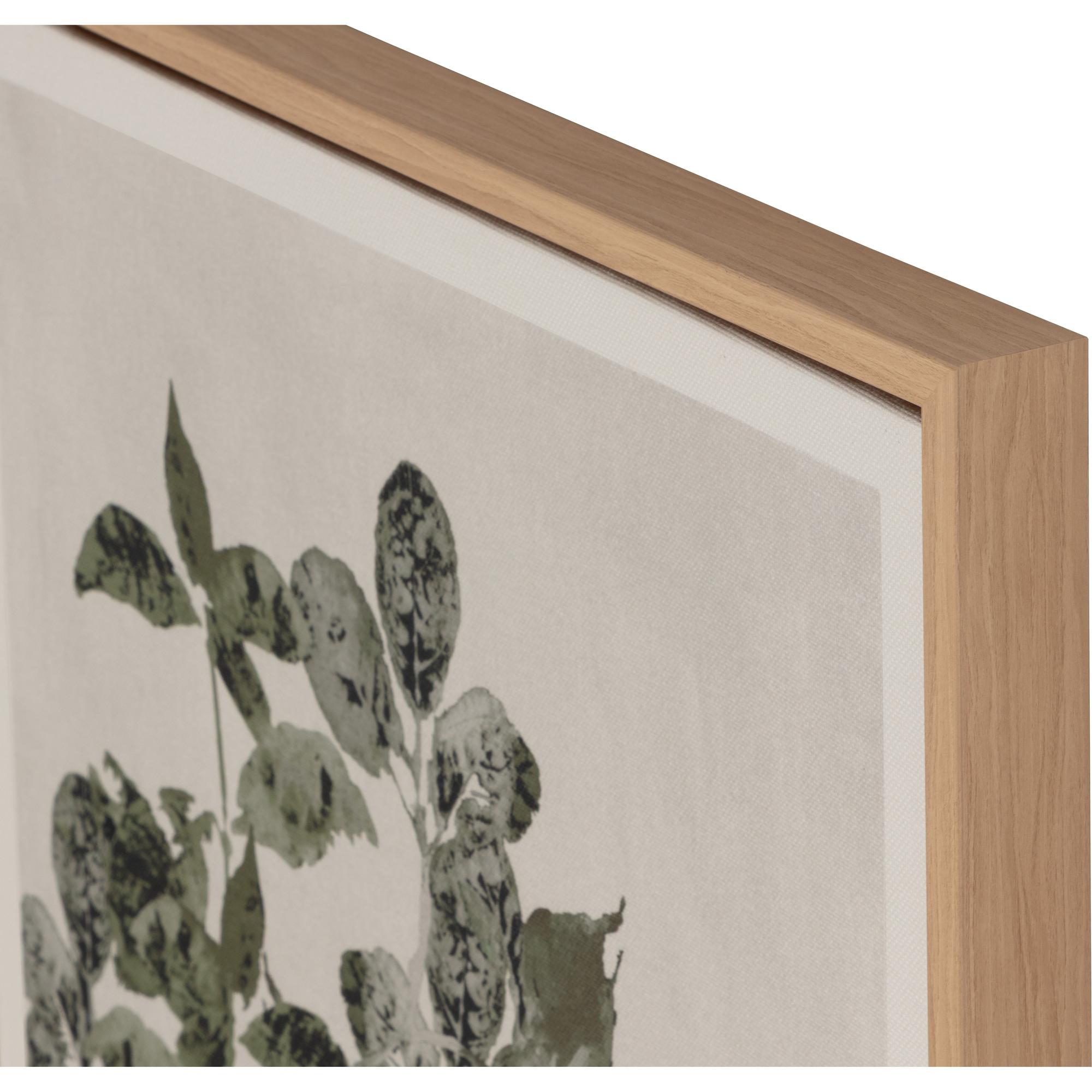 Botanical Study I - 18.5" X 31" - Natural Floater Frame 5 Botanical Study I - 18.5" X 31" - Natural Floater Frame - Image 5