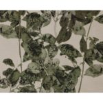Botanical Study I - 18.5" X 31" - Natural Floater Frame 12 Botanical Study I - 18.5" X 31" - Natural Floater Frame - Image 6