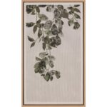 Botanical Study Ii - 18.5" X 31" - Natural Floater Frame