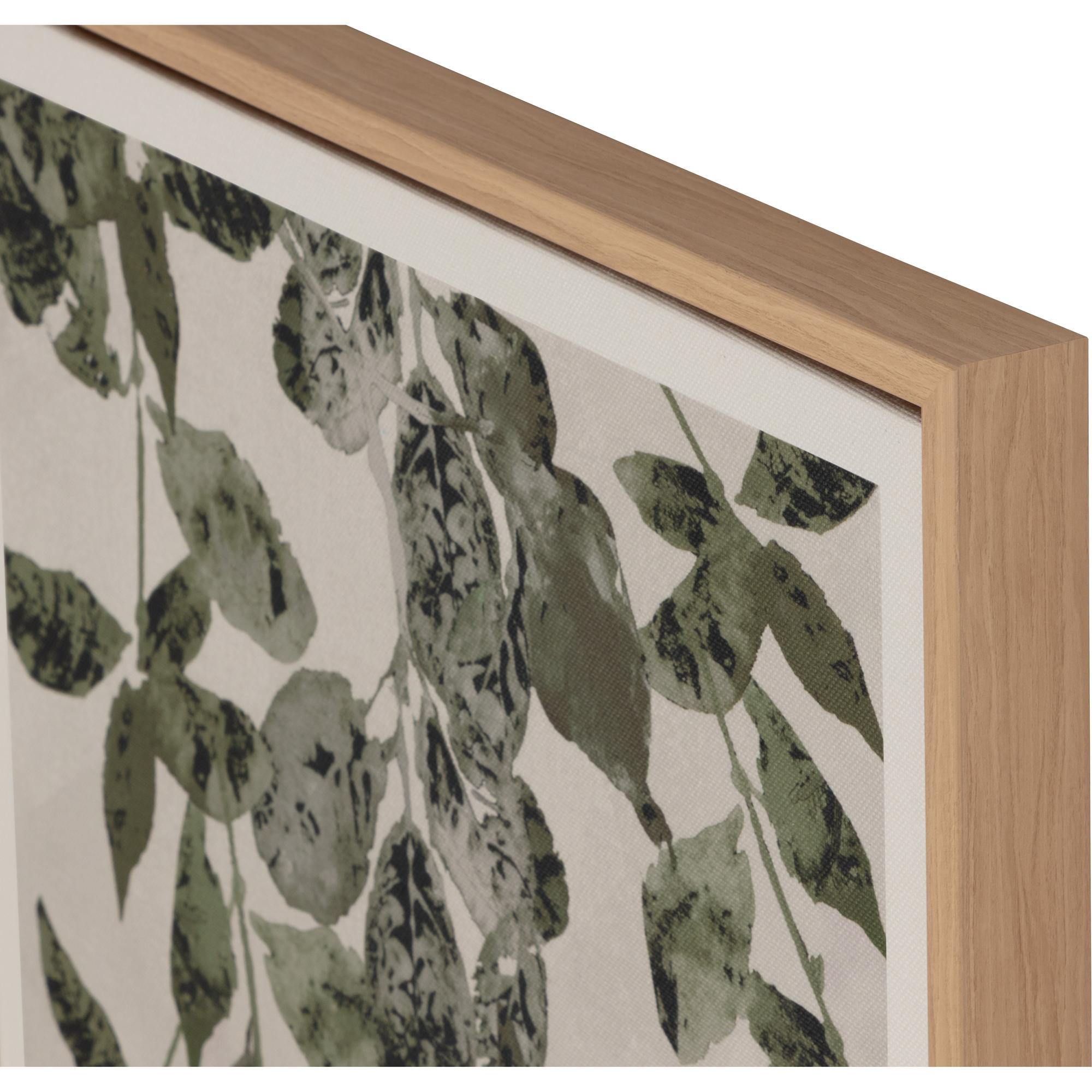Botanical Study Ii - 18.5" X 31" - Natural Floater Frame 5 Botanical Study Ii - 18.5" X 31" - Natural Floater Frame - Image 5