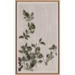 Botanical Study Iii - 18.5" X 31" - Natural Floater Frame