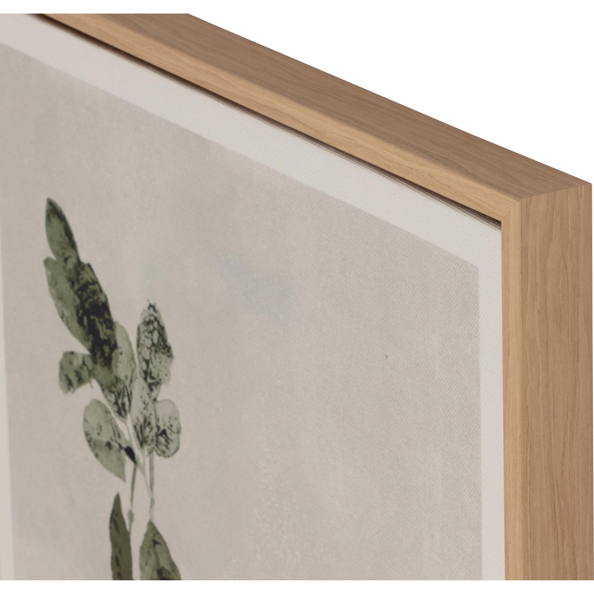 Botanical Study Iii - 18.5" X 31" - Natural Floater Frame 5 Botanical Study Iii - 18.5" X 31" - Natural Floater Frame - Image 5