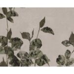 Botanical Study Iii - 18.5" X 31" - Natural Floater Frame 12 Botanical Study Iii - 18.5" X 31" - Natural Floater Frame - Image 6
