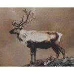Into The Wild I - 20" X 30" - Brown Floater Frame - Image 5