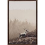 Into The Wild Ii - 20" X 30" - Brown Floater Frame