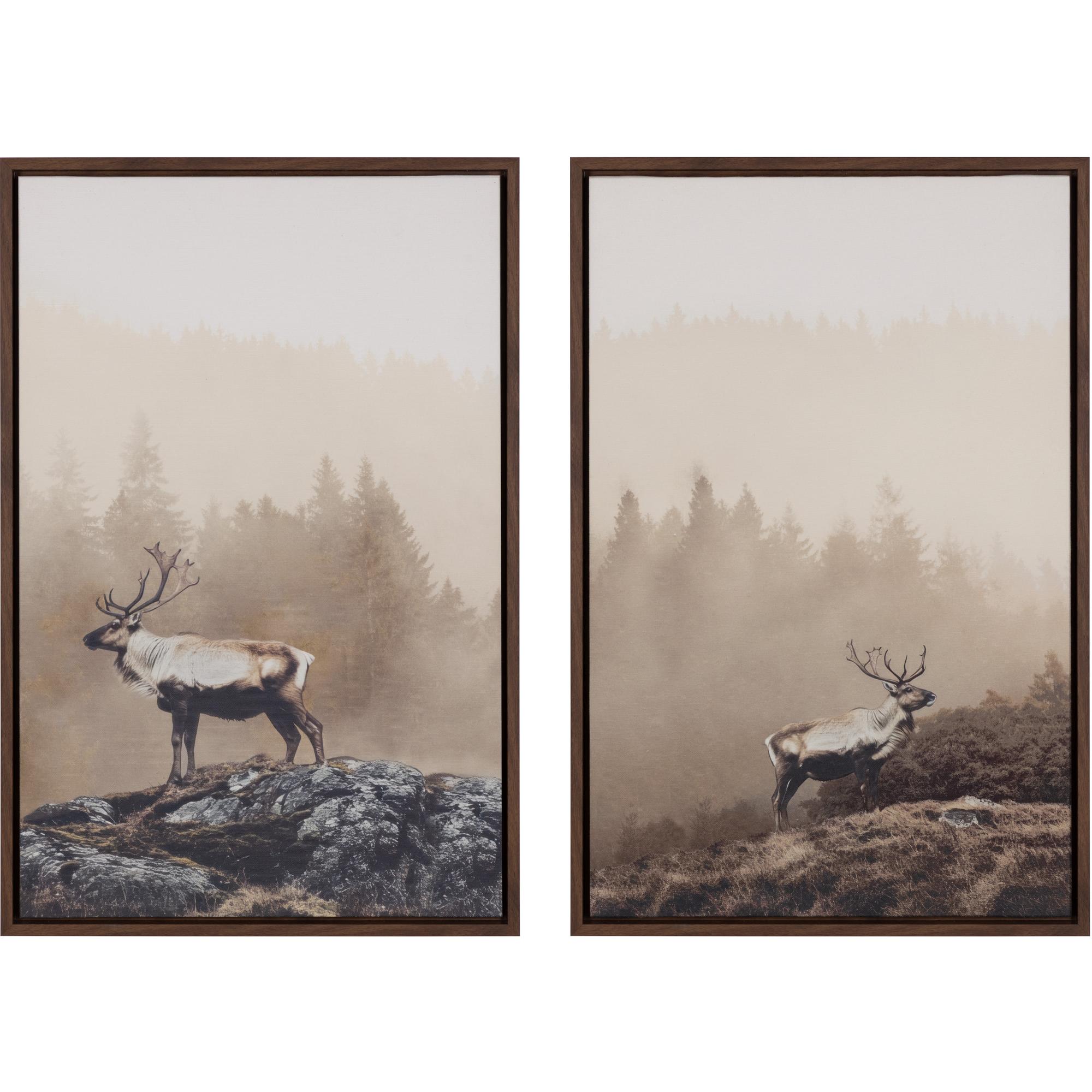 Into The Wild Ii - 20" X 30" - Brown Floater Frame 2 Into The Wild Ii - 20" X 30" - Brown Floater Frame - Image 2