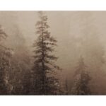 Mistwood I - 20" X 30" - Brown Floater Frame 9 Mistwood I - 20" X 30" - Brown Floater Frame - Image 4