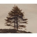 Together Alone Ii - 20" X 30" - Brown Floater Frame 11 Together Alone Ii - 20" X 30" - Brown Floater Frame - Image 5