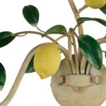 Lemon Wall Sconce 12 Lemon Wall Sconce C10534 C10534 F