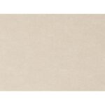 Delaney Dining Chair Warm Beige-Set of Two EJ-1018-18 EJ 1018 18 Delaney snipped shadsilo