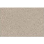 Carlos Dining Chair Taupe EM-1009-21 EM 1009 21 Carlos snipped shadsilo