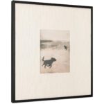 Strand 2 Framed Print JQ-1056-37 JQ 1056 37 Strand diagR shadsilo