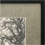 Arise Framed Print JQ-1058-37 JQ 1058 37 Arise closeup shadsilo