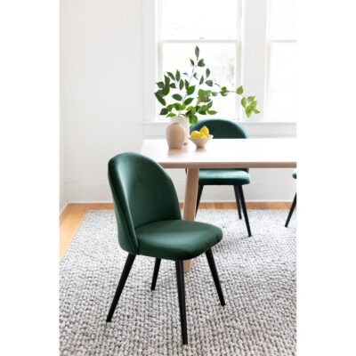 Clarissa Dining Chair Green (Set of 2) JW-1002-16 JW 1002 16 30