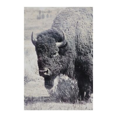 North Range Wall Art OL1485 OL1485 2