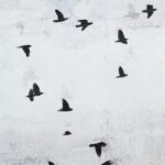 Paz Painting OL2219 OL2219 4