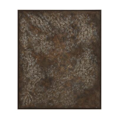 Velvet Canvas Art