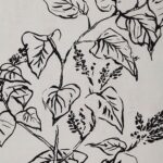 Basset Printed Art 29 Basset Printed Art PA0041 PA0041 11