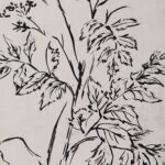 Basset Printed Art 31 Basset Printed Art PA0041 PA0041 13