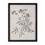 Basset Printed Art 33 Basset Printed Art PA0041 PA0041 15