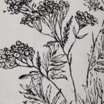 Basset Printed Art 21 Basset Printed Art PA0041 PA0041 3