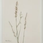 Crema Painting PA0043 PA0043 33