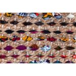 Acasia 8' x 10' Rug RACA-13686-810 RACA 13686 810 4