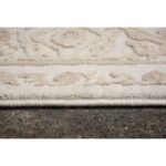 Ariella 10' x 13' Rug RARI-10187-1013 RARI 10187 1013 3