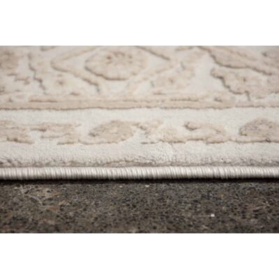 ARIELLA 10' x 13' Rug RARI-10187-1013 RARI 10187 3 1630003148