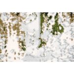 Ariella 3' x 10' Rug RARI-18622-310 RARI 18622 310 2