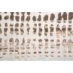 Ariella 3' x 10' Rug RARI-20035-310 RARI 20035 310 2