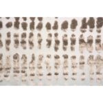 Ariella 10' x 13' Rug 6 Ariella 10' x 13' Rug RARI-20035-1013 RARI 20035 1