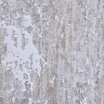 Blake 5' x 7' Area Rug RBLA-31425-57 RBLA 31425 57 4