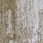 Blake 8' x 10' Area Rug RBLA-71425-810 RBLA 71425 810 4