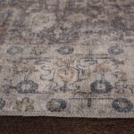 Chloe 5' x 7' Rug RCHL-51182-57 RCHL 51182 57 2