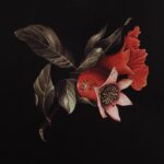 Wallflower Printed Art W6704 W6704 W6704 10