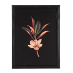 Wallflower Printed Art W6704 W6704 W6704 17