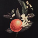 Wallflower Printed Art W6704 W6704 W6704 19