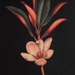 Wallflower Printed Art W6704 W6704 W6704 4