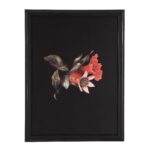 Wallflower Printed Art W6704 W6704 W6704 9