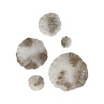 Zestia Wall Decor
