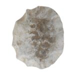 Zestia Wall Decor - Image 12