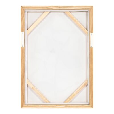 Blush Framed Painting WP-1311-37 WP 1311 37 Blush back shadsilo