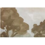 Ash Framed Print 8 Ash Framed Print WP-1326-37 WP 1326 37 Ash closeup01 shadsilo