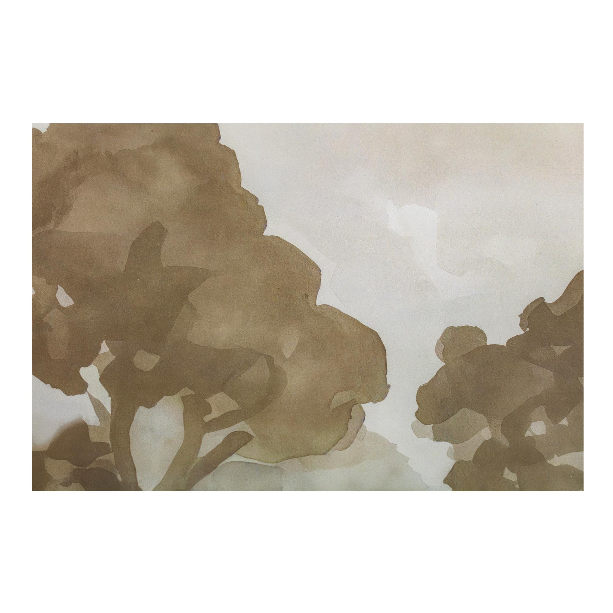 Ash Framed Print 4 Ash Framed Print - Image 4