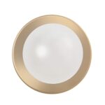 Dania Wall Sconce WS145 WS145 3