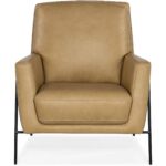 Amette Metal Frame Club Chair 8 Amette Metal Frame Club Chair CC452-009 cc452 009 straight silo