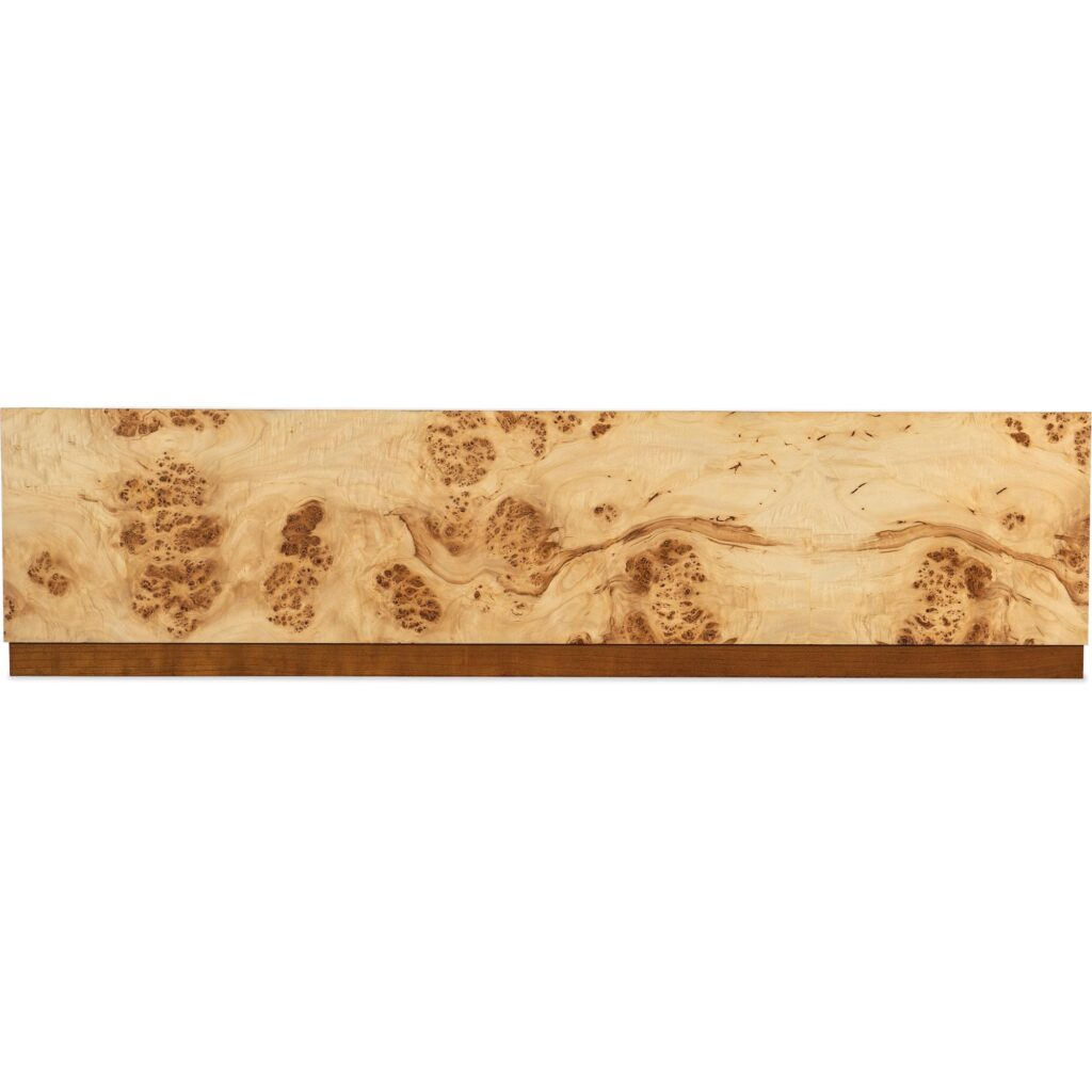 Auberon Burl Coffee Table - Image 2